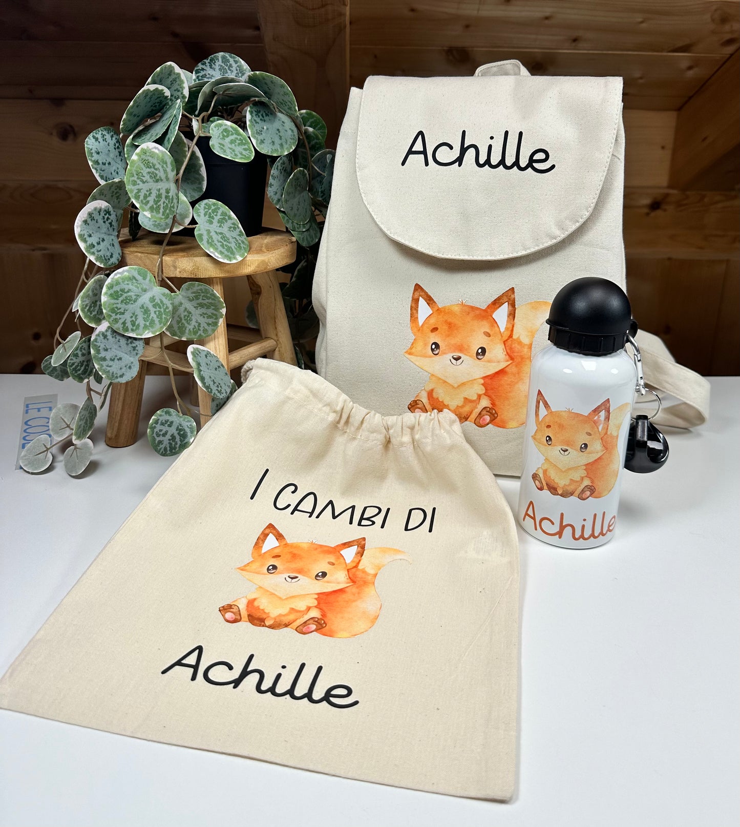 Set Asilo